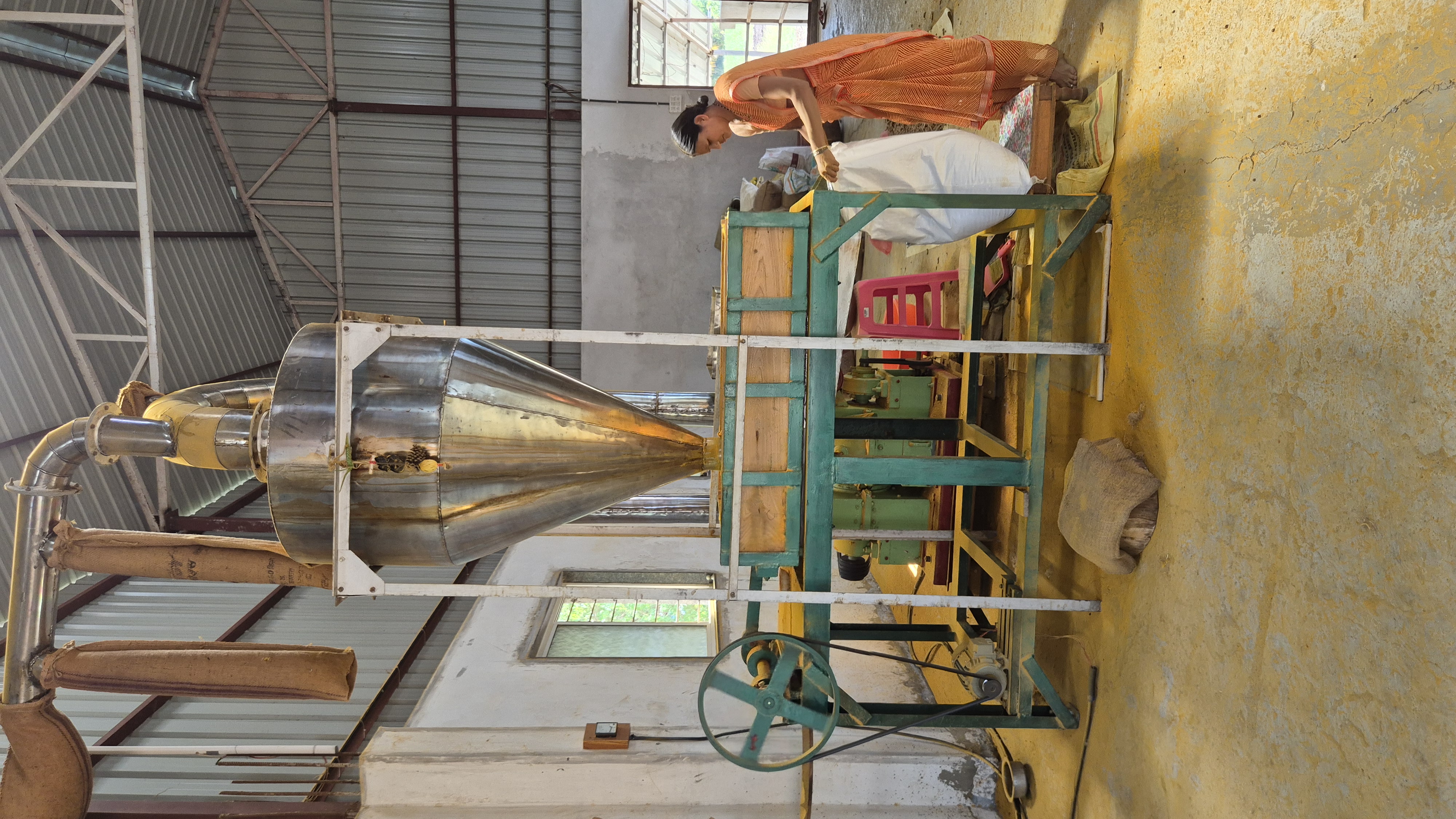 Woman operating the turmeric grinding machine