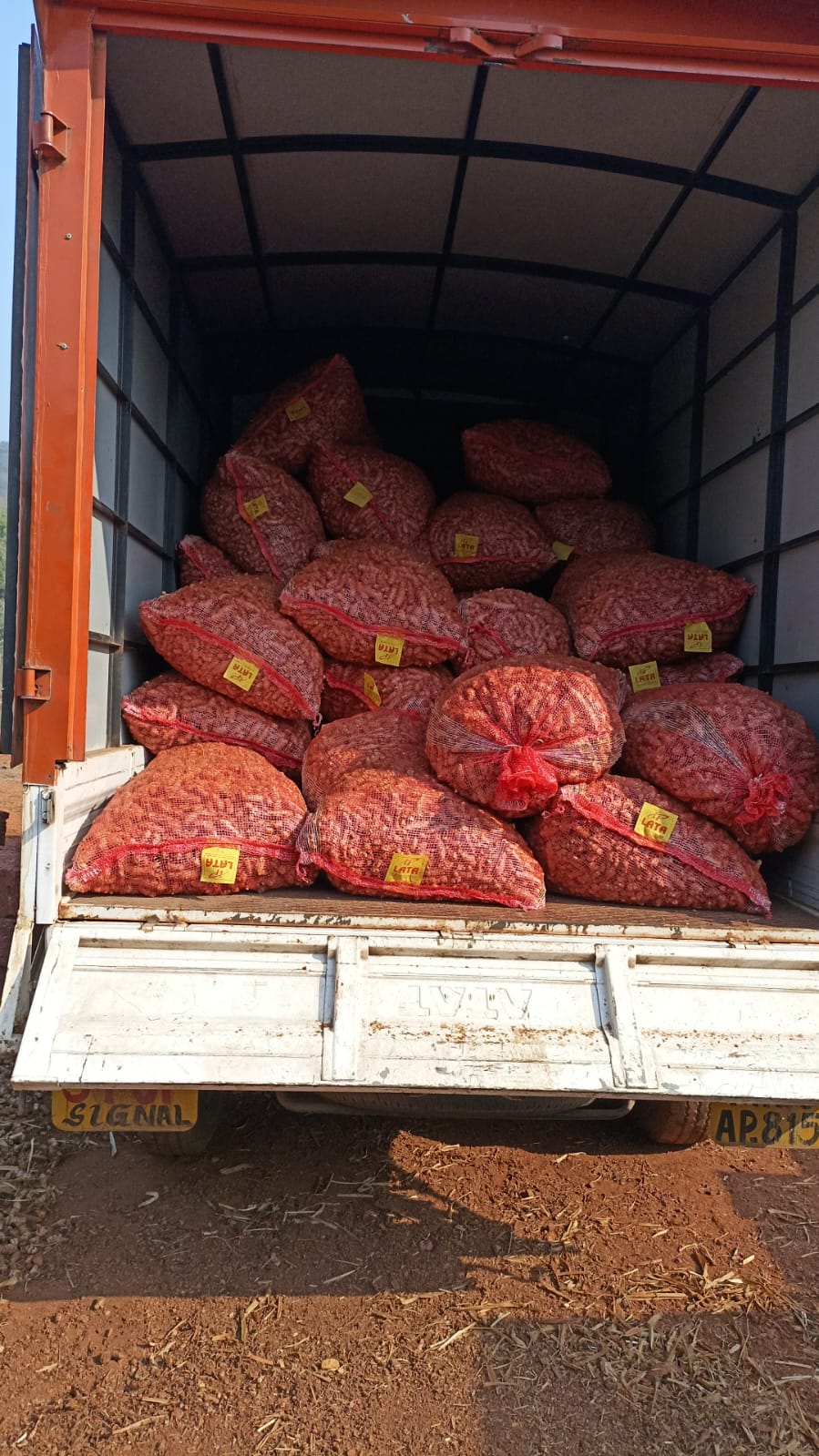 Turmeric piled high after harvest