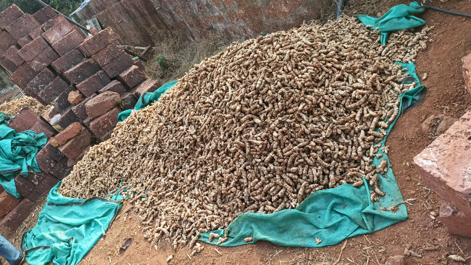 A village elder honored at a Graminno gathering